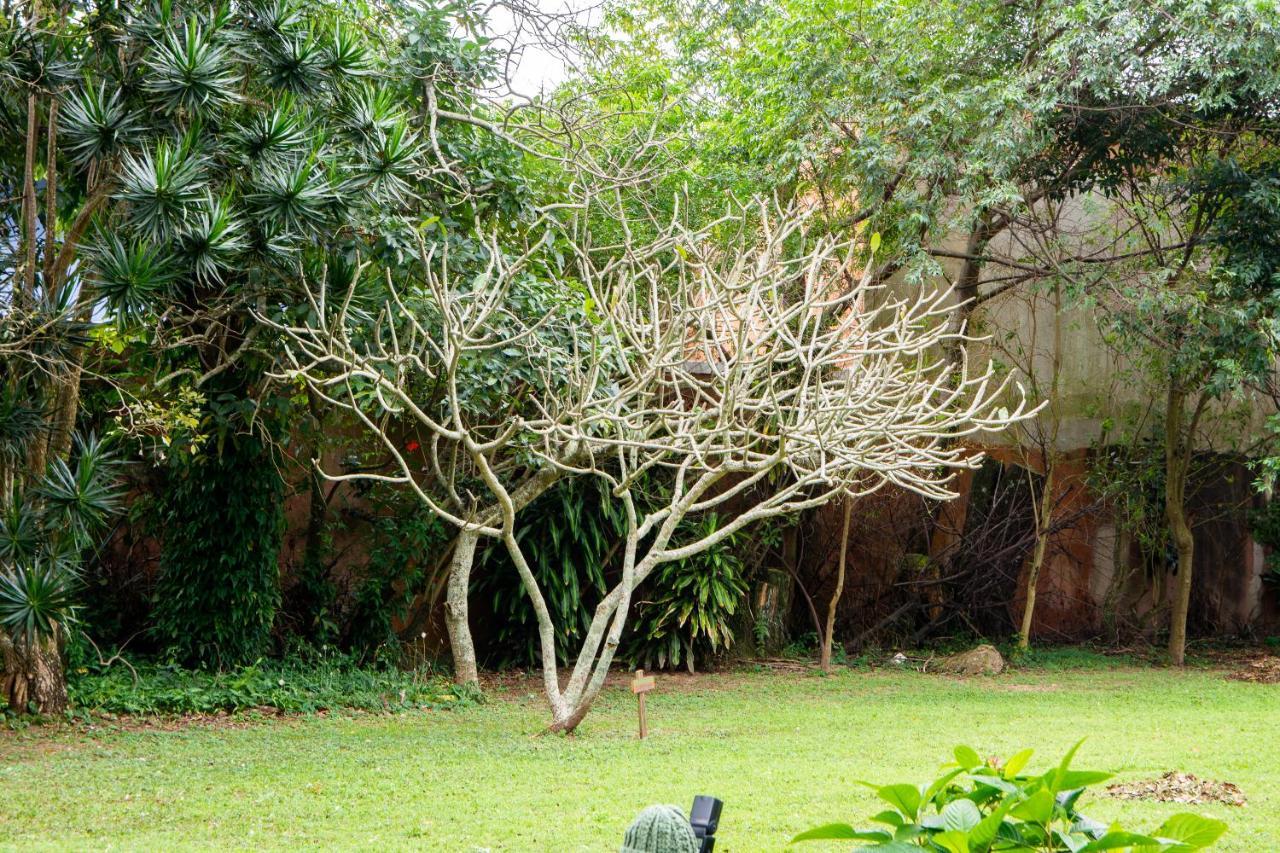 Florianópolis Pousada Rio Vermelho מראה חיצוני תמונה